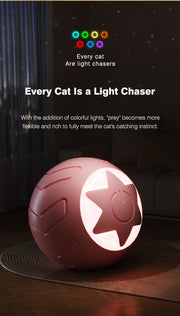 Star Pet Care Essential