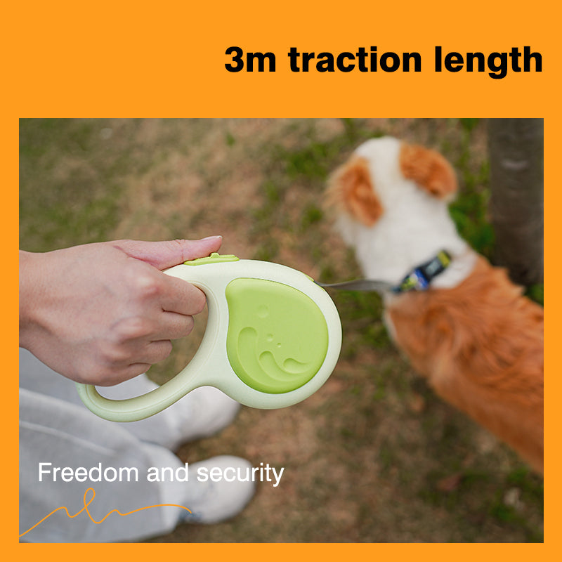 Whale Retractable Pet Leash
