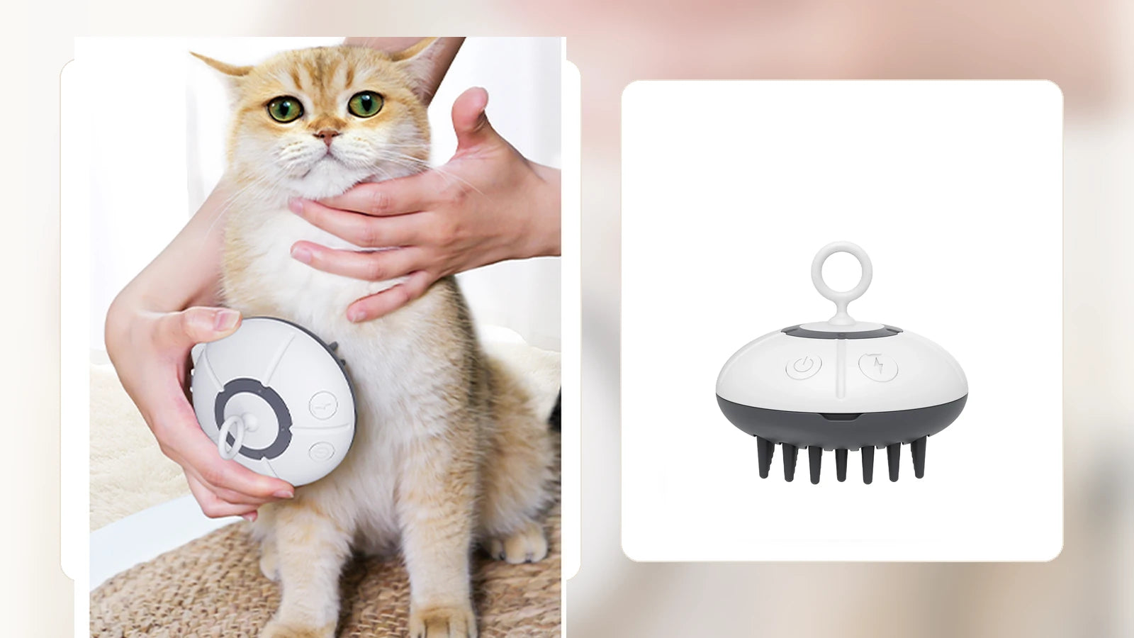 About TENZONN TENZONN pet lifestyle banner