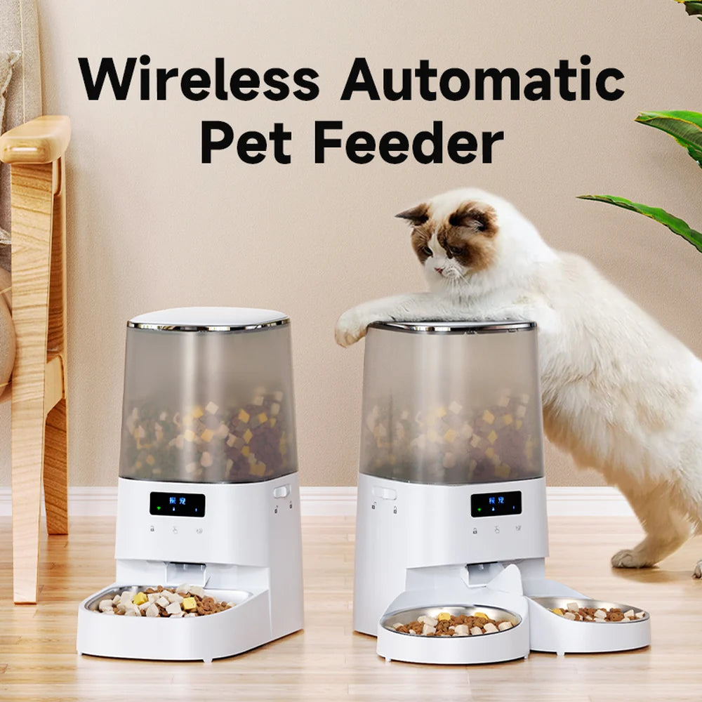 FAQ TENZONN pet lifestyle banner