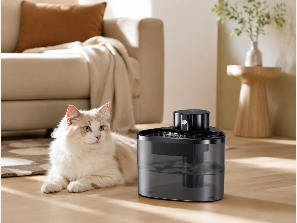 Hydration pet care scene